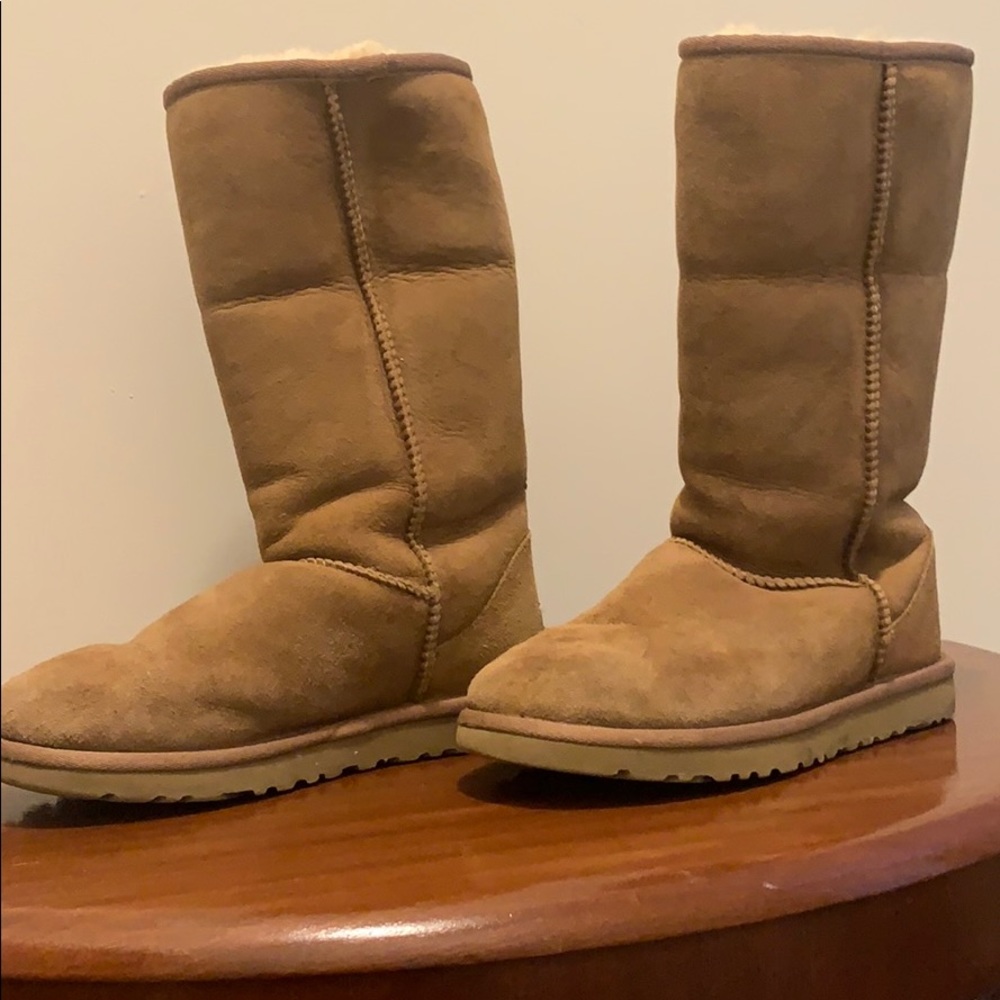 Tall chestnut uggs